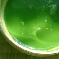 Special Matcha