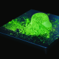 Preview: Emerald Forest Kirishima Supreme Matcha, organic