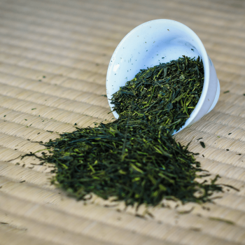 Yame Sencha, bio