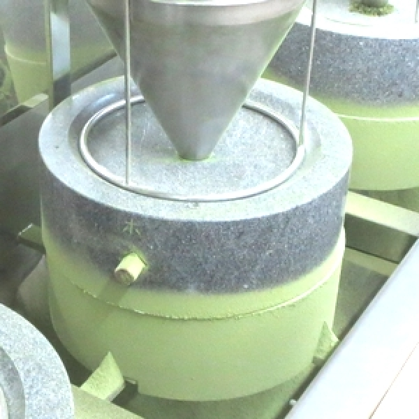 Matcha Hakuju 20g