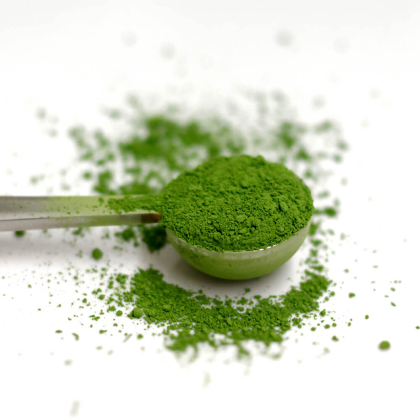 Das Set für Matcha Latte Liebhaber!