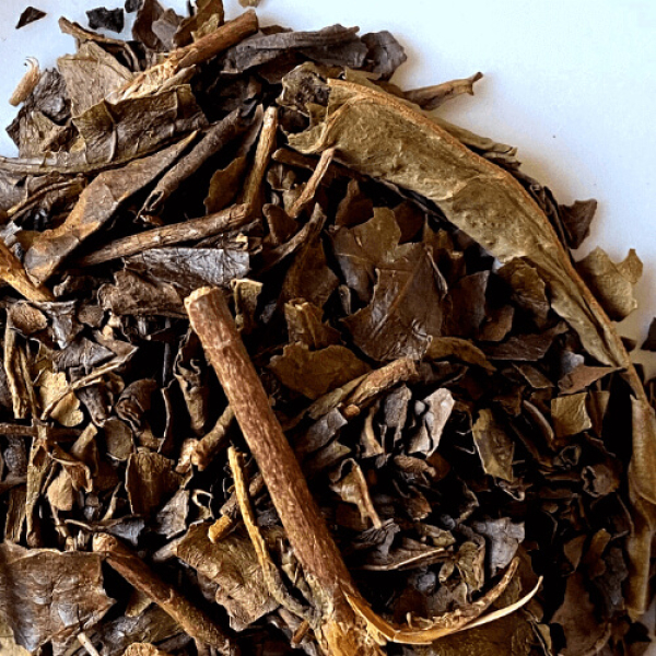 Premium Sannen Bancha "Makibi", bio