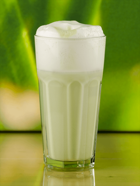 Bio Matcha Delight - matchashop